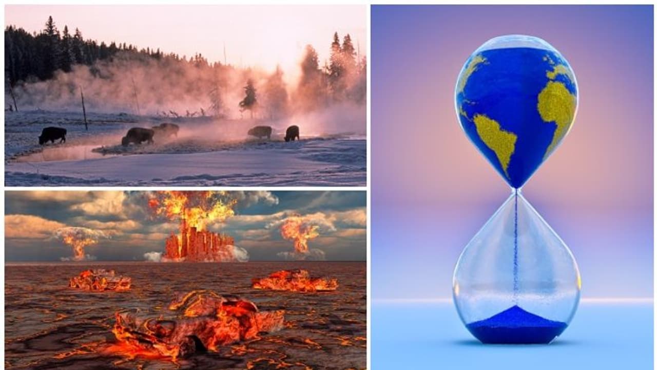 96 ശതമാനം സസ്തനികളുടേയും വംശനാശത്തിന് കാരണമായത് മനുഷ്യനെന്ന് പഠനം 96 ശതമാനം സസ്തനികളുടേയും വംശനാശത്തിന് കാരണമായത് മനുഷ്യനെന്ന് പഠനം