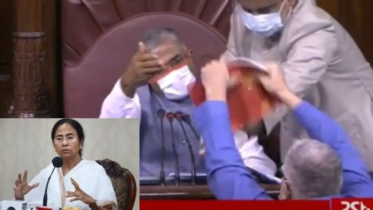 ডেরেক ও দোলার পক্ষ নিয়ে সওয়াল তৃণমূল কংগ্রেসের, সরকারকে স্বৈরাচারী বললেন মমতা