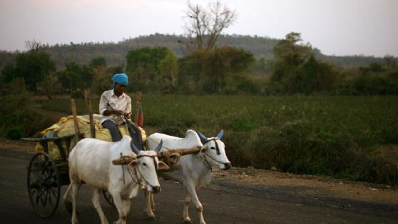 Opposition urges President Kovind not to give assent to farm bills Opposition urges President Kovind not to give assent to farm bills
