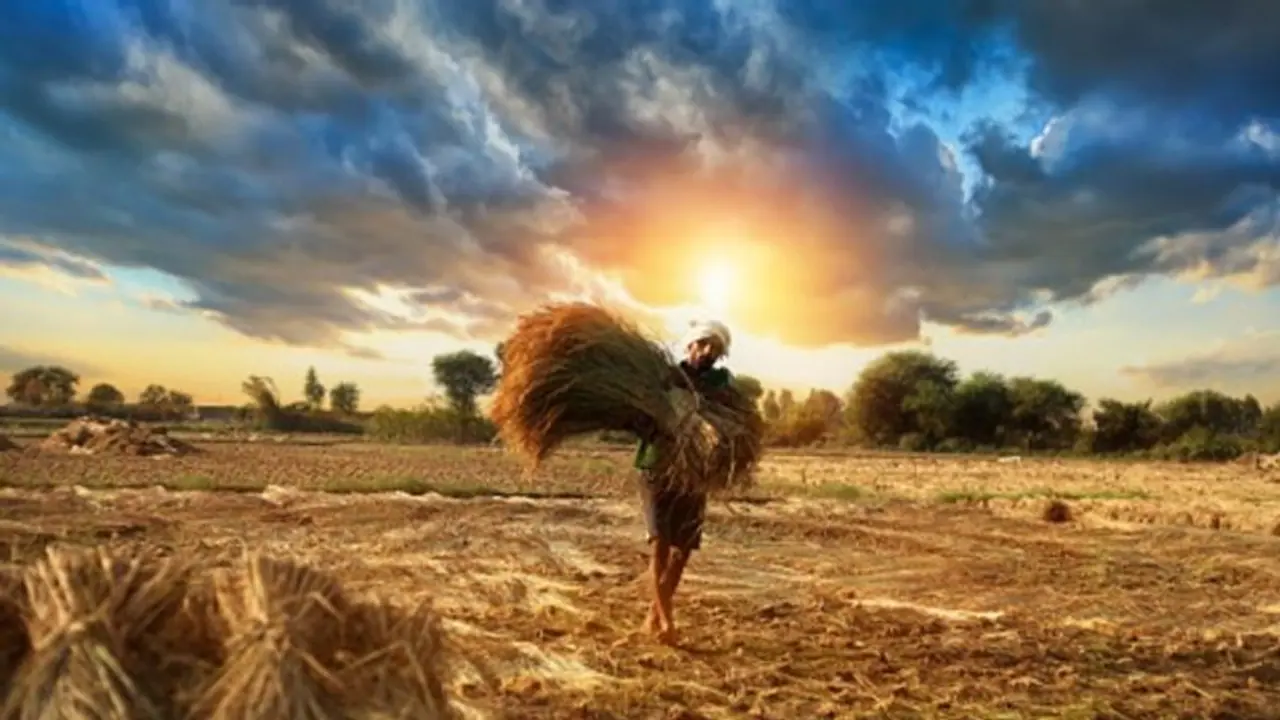 ಮೋದಿ ಅಧ್ಯಕ್ಷತೆಯಲ್ಲಿ ಸಭೆ; ಹಿಂಗಾರು ಬೆಳೆಗೆ ಕನಿಷ್ಠ ಬೆಂಬಲ ಬೆಲೆ ಹೆಚ್ಚಳಕ್ಕೆ ಸಂಪುಟ ಅನುಮೋದನೆ!