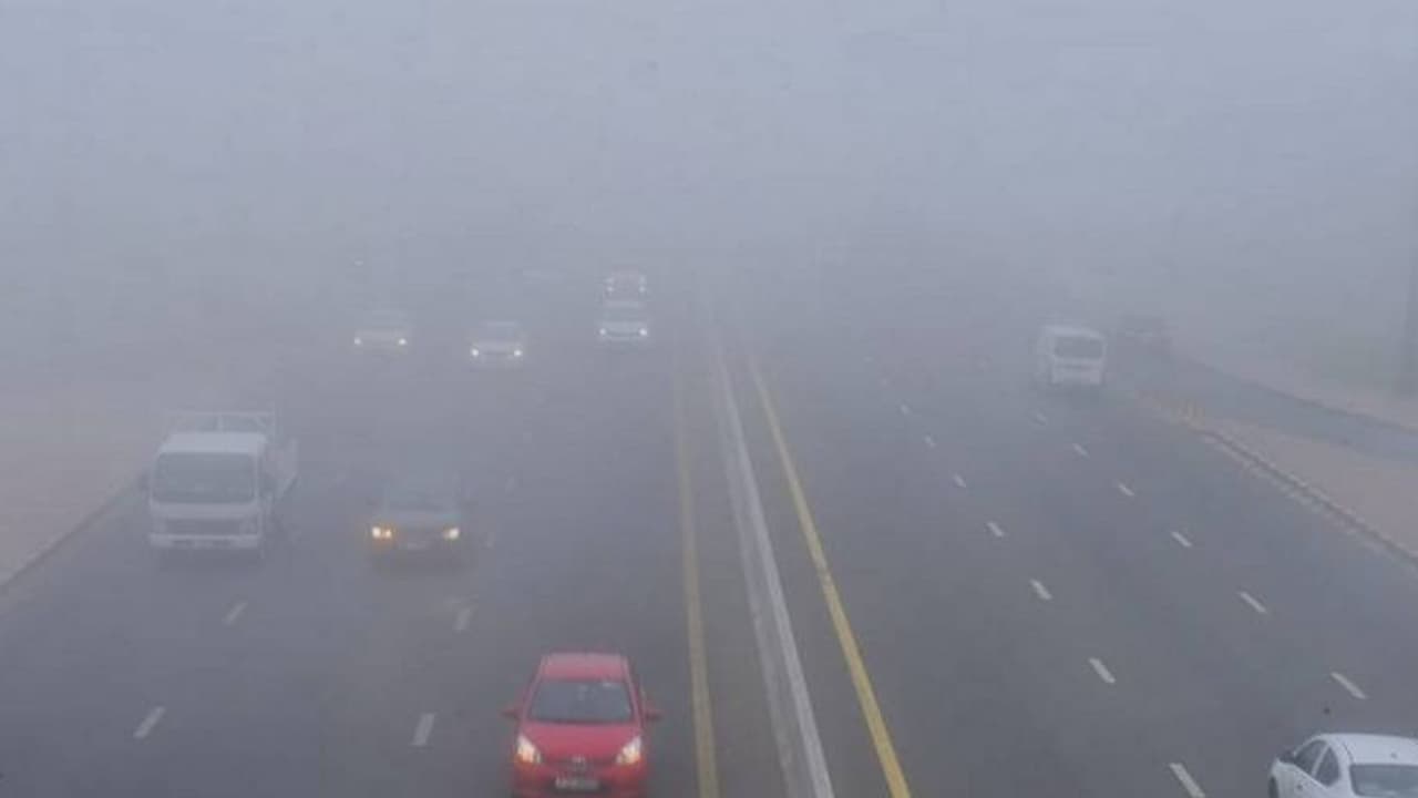 യുഎഇയില് കനത്ത മൂടല്മഞ്ഞ്; വിവിധ പ്രദേശങ്ങളില് റെഡ്, യെല്ലോ അലെര്ട്ടുകള് പ്രഖ്യാപിച്ചു യുഎഇയില് കനത്ത മൂടല്മഞ്ഞ്; വിവിധ പ്രദേശങ്ങളില് റെഡ്, യെല്ലോ അലെര്ട്ടുകള് പ്രഖ്യാപിച്ചു