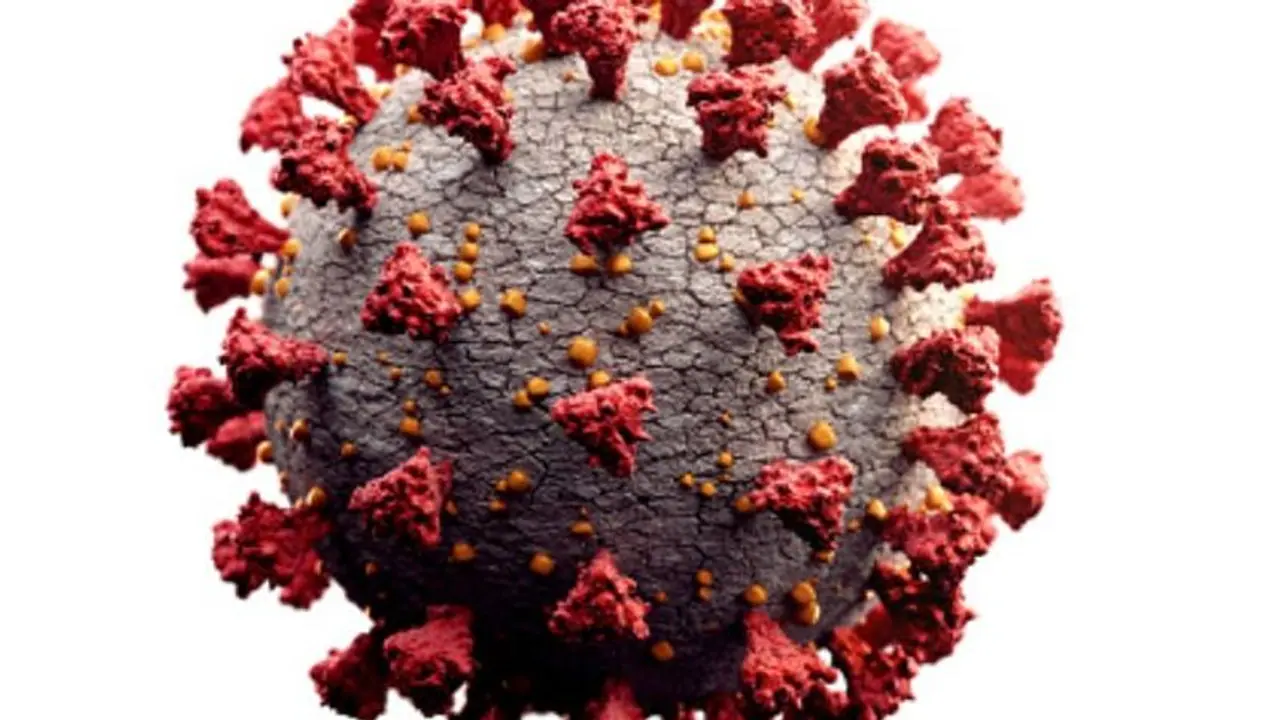 Coronavirus: Elderly asked to stay home in Moscow due to COVID 19 cases surge Coronavirus: Elderly asked to stay home in Moscow due to COVID 19 cases surge