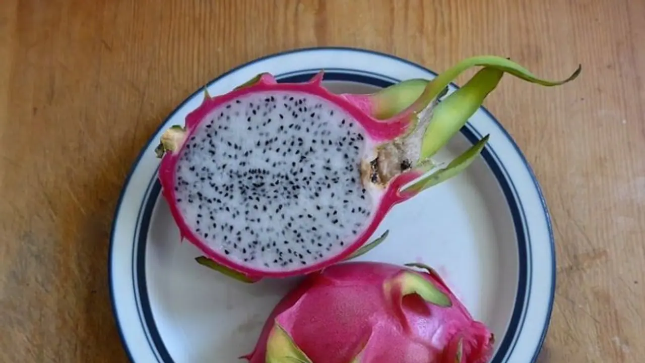 dragon fruits dragon fruits