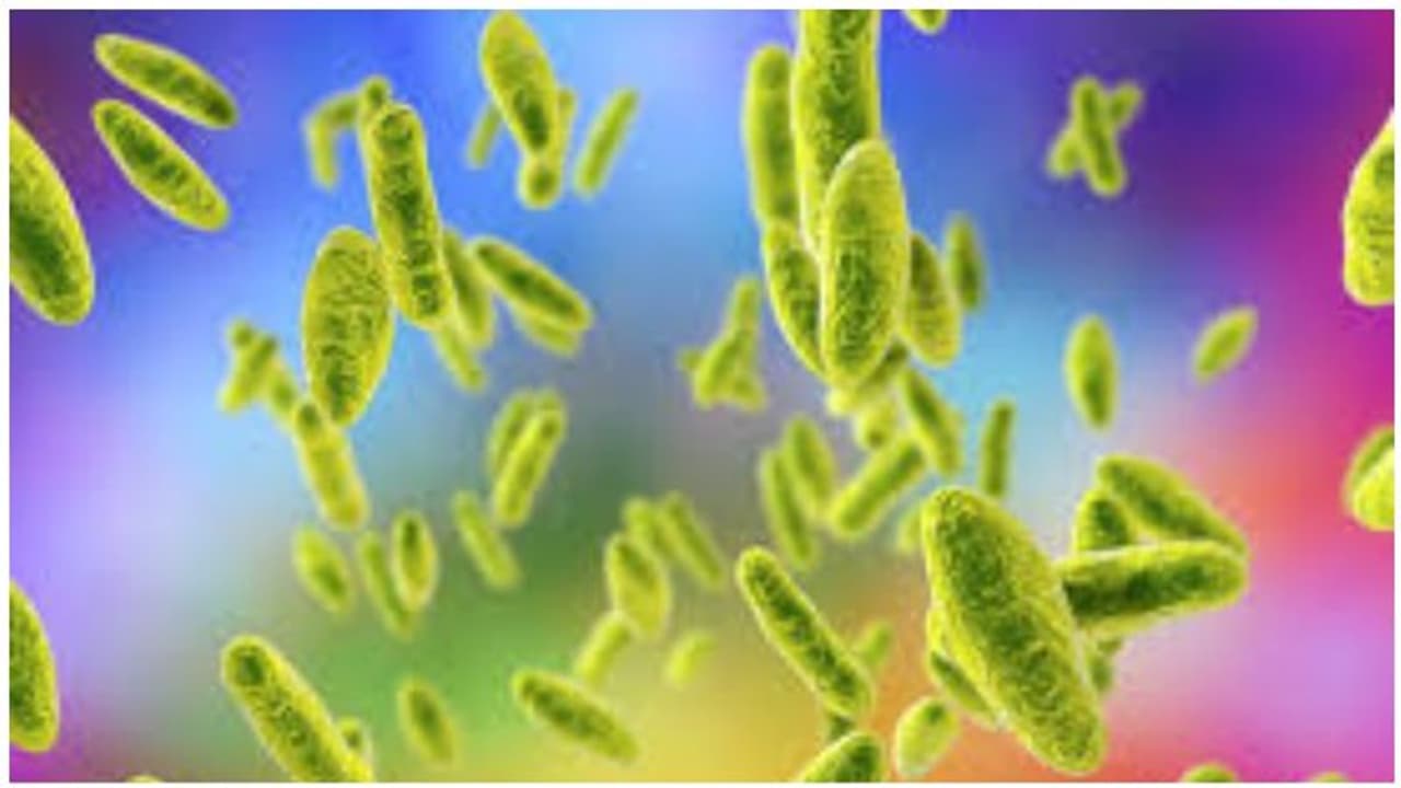 கொரோனாவை விட கொடுமையான புதிய நோய்த் தொற்று... சீனாவில் இருந்து இந்தியாவுக்கும் பரவுகிறது..? கொரோனாவை விட கொடுமையான புதிய நோய்த் தொற்று... சீனாவில் இருந்து இந்தியாவுக்கும் பரவுகிறது..?