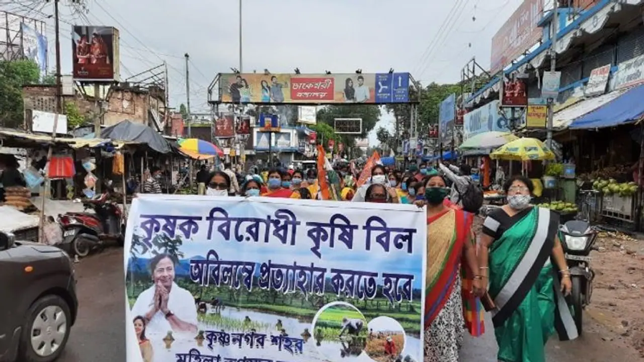 কৃষি বিলের প্রতিবাদ, নদিয়ায় পথে নেমে কেন্দ্রের বিরোধিতায় তৃণমূল কৃষি বিলের প্রতিবাদ, নদিয়ায় পথে নেমে কেন্দ্রের বিরোধিতায় তৃণমূল