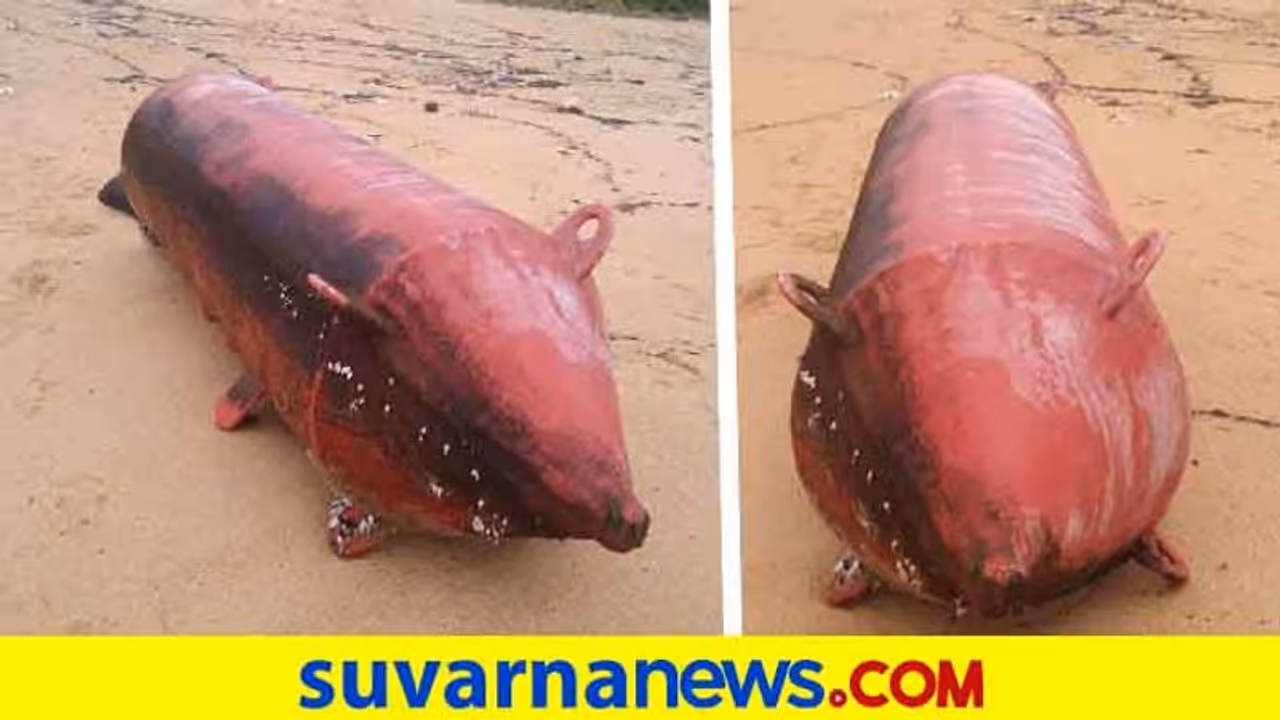 ಉಡುಪಿ: ಸಮುದ್ರ ತೀರದಲ್ಲಿ ಕ್ಷಿಪಣಿಯಾಕಾರದ ವಸ್ತು ಪತ್ತೆ..! ಉಡುಪಿ: ಸಮುದ್ರ ತೀರದಲ್ಲಿ ಕ್ಷಿಪಣಿಯಾಕಾರದ ವಸ್ತು ಪತ್ತೆ..!