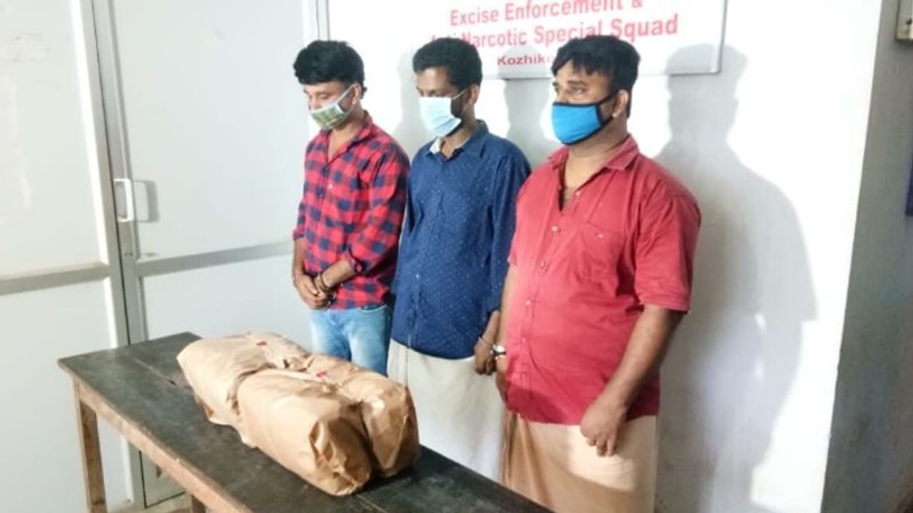 10 കിലോഗ്രാം കഞ്ചാവുമായി മൂന്നു പേർ അറസ്റ്റിൽ; പ്രധാന പ്രതികൾക്കായി അന്വേഷണം 10 കിലോഗ്രാം കഞ്ചാവുമായി മൂന്നു പേർ അറസ്റ്റിൽ; പ്രധാന പ്രതികൾക്കായി അന്വേഷണം