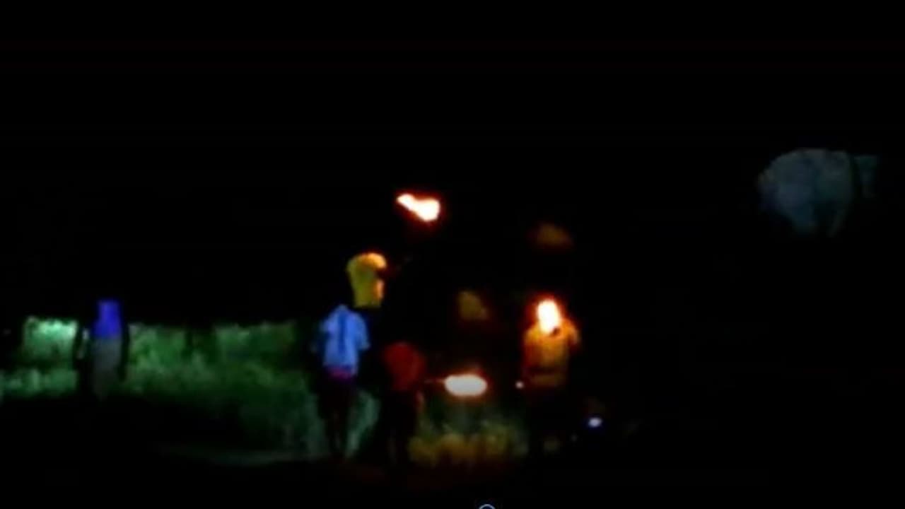 সন্ধ্য নামলেই হাতির ভয় নষ্ট জমির ফসল, শালবনীতে হাতি তাড়াতে হুলা পার্টি