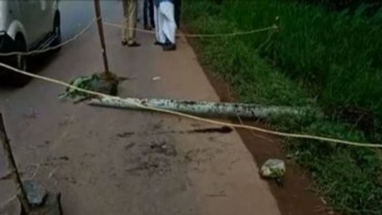 കണ്ണൂരിലെ എസ്ഡിപിഐ പ്രവർത്തകന്റെ കൊലപാതകം: നിർണായക സിസിടിവി ദൃശ്യങ്ങൾ പൊലീസിന് കിട്ടി കണ്ണൂരിലെ എസ്ഡിപിഐ പ്രവർത്തകന്റെ കൊലപാതകം: നിർണായക സിസിടിവി ദൃശ്യങ്ങൾ പൊലീസിന് കിട്ടി