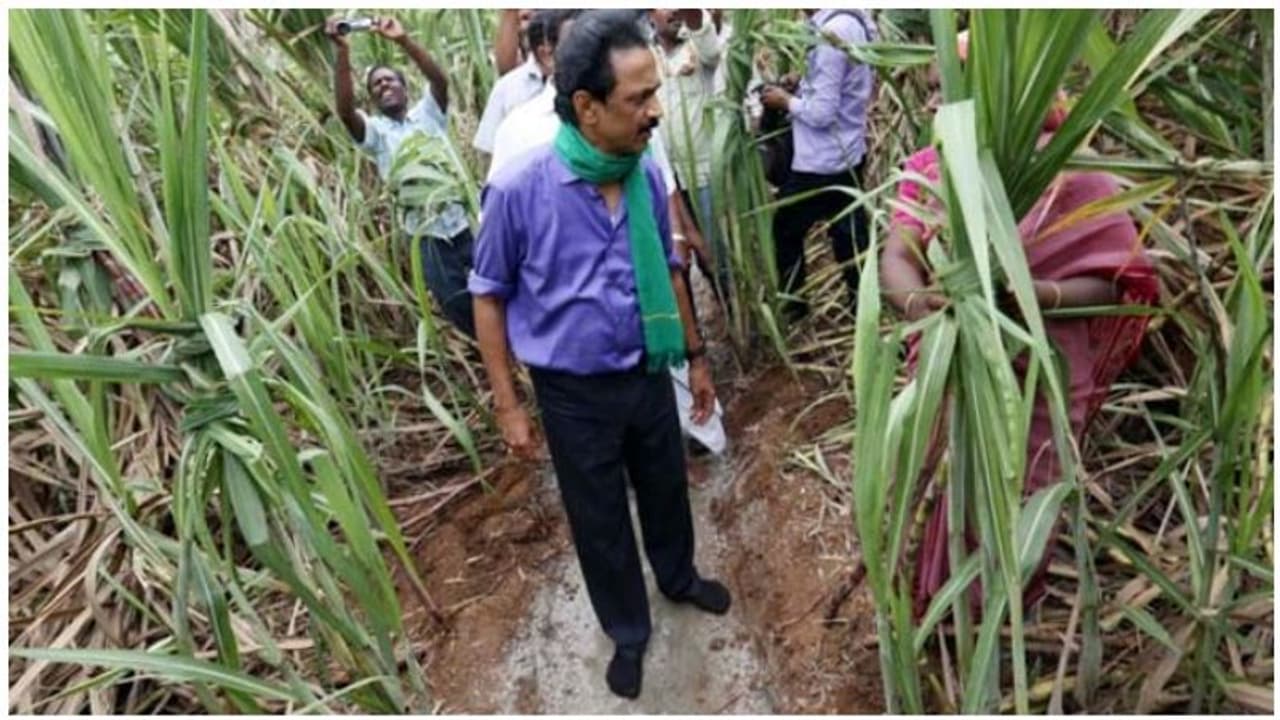 கரும்பு காட்டுக்குள் கான்கிரீட் போட்டு நடந்த தலைசிறந்த விவசாயி மு.க.ஸ்டாலின்.. குத்திக் கிழிக்கும் குத்தீட்டி