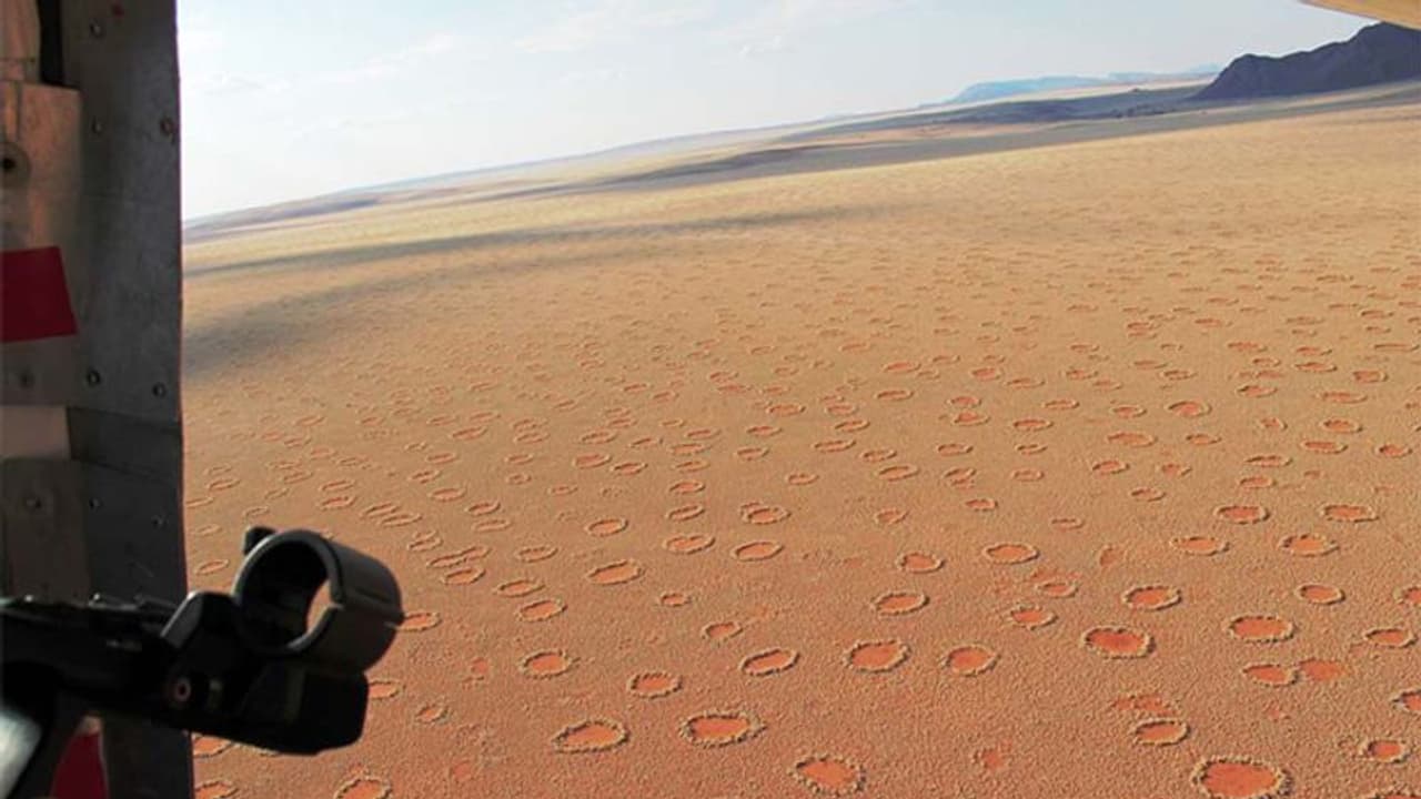 থর মরুভূমির বুক চিরে বয়ে যেত নদী, গবেষণা মিলল চাঞ্চল্যকর তথ্য থর মরুভূমির বুক চিরে বয়ে যেত নদী, গবেষণা মিলল চাঞ্চল্যকর তথ্য