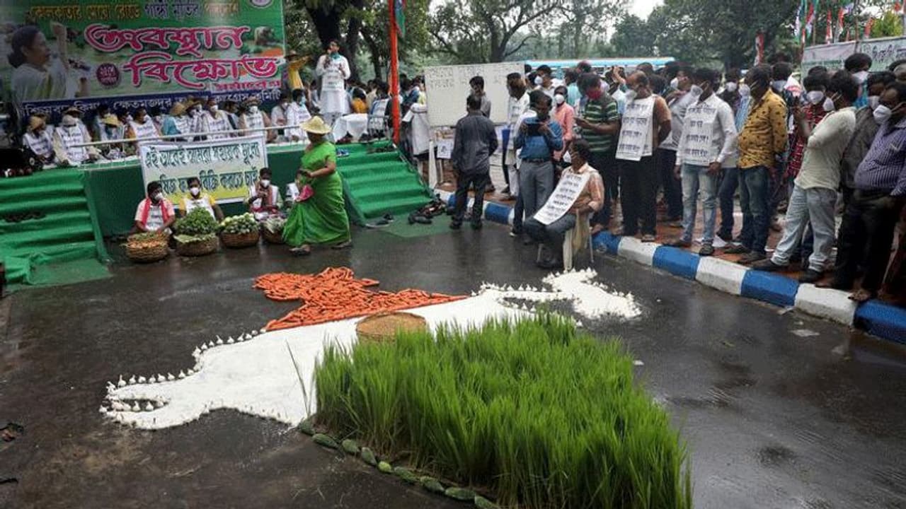 കാര്ഷിക നിയമത്തിനെതിരായ ഹര്ജി നൽകിയില്ല; ആലോചനകൾ എങ്ങുമെത്താതെ കേരളം കാര്ഷിക നിയമത്തിനെതിരായ ഹര്ജി നൽകിയില്ല; ആലോചനകൾ എങ്ങുമെത്താതെ കേരളം