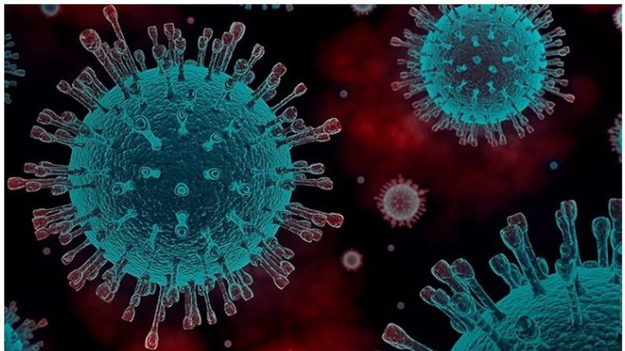 കൊവിഡ് 19; ഈ അഞ്ച് കാര്യങ്ങൾ മറന്ന് പോകരുതേ... കൊവിഡ് 19; ഈ അഞ്ച് കാര്യങ്ങൾ മറന്ന് പോകരുതേ...