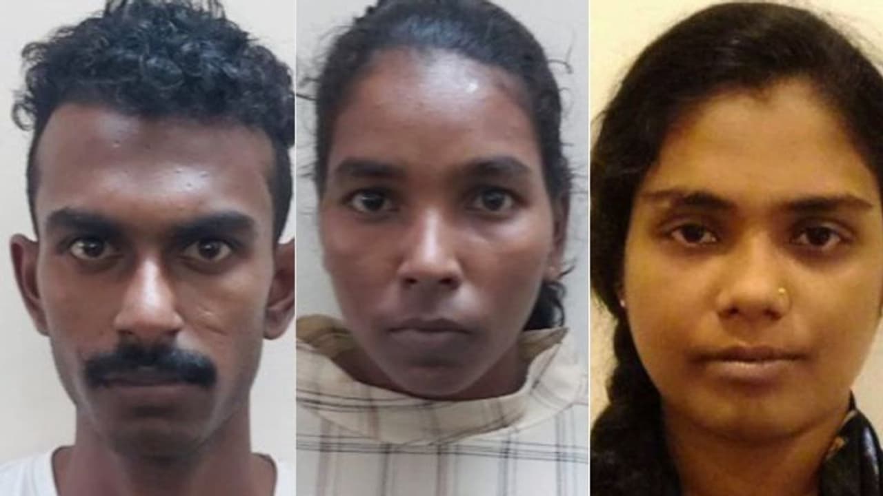 നെട്ടൂരിൽ 19 കാരനെ കൊന്ന കേസ്: യുവതി ഉള്പ്പെടെ മൂന്നുപേര് കൂടി പൊലീസ് കസ്റ്റഡിയില് നെട്ടൂരിൽ 19 കാരനെ കൊന്ന കേസ്: യുവതി ഉള്പ്പെടെ മൂന്നുപേര് കൂടി പൊലീസ് കസ്റ്റഡിയില്