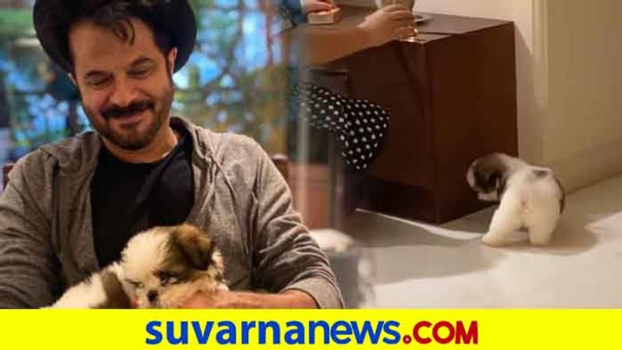 ಕುಟುಂಬಕ್ಕೆ ಪುಟ್ಟ ಅಥಿತಿ ಬರ ಮಾಡಿಕೊಂಡ ಅನಿಲ್ ಕಪೂರ್!