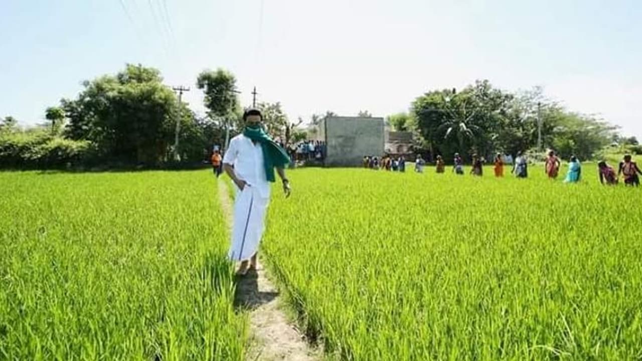 முதல்வர் எடப்பாடி ஒரு போலி விவசாயி... இந்த ஸ்டாலின் யார் தெரியுமா..? மார்தட்டும் திமுக தலைவர்..! முதல்வர் எடப்பாடி ஒரு போலி விவசாயி... இந்த ஸ்டாலின் யார் தெரியுமா..? மார்தட்டும் திமுக தலைவர்..!