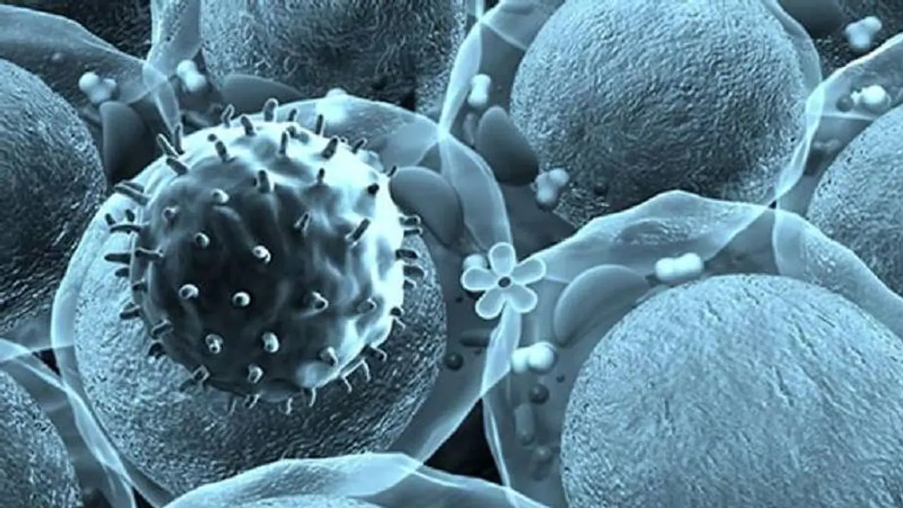 ഭീഷണിയായി ചൈനയില് നിന്നും അടുത്ത വൈറസ്; മുന്നറിയിപ്പുമായി ഐസിഎംആര് ഭീഷണിയായി ചൈനയില് നിന്നും അടുത്ത വൈറസ്; മുന്നറിയിപ്പുമായി ഐസിഎംആര്
