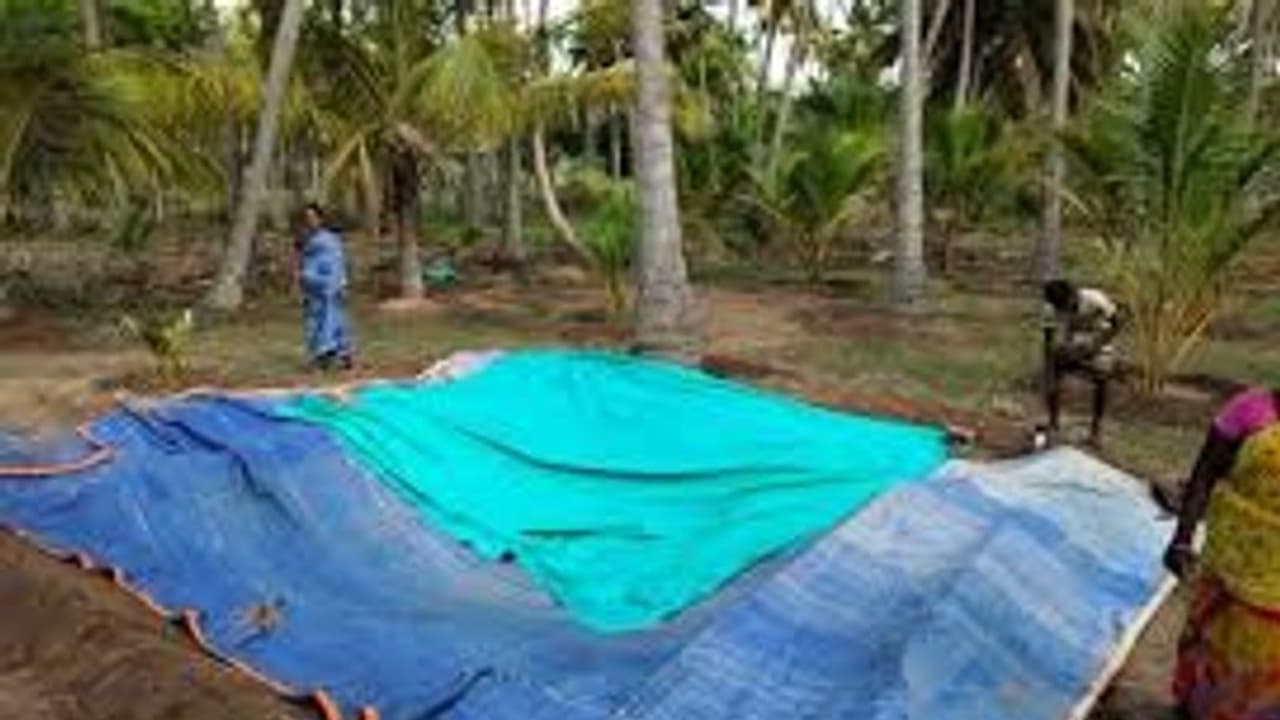 தொடர் மழை: கீழடி அகழாய்வு பணிகள் நிறுத்தம்..! தொடர் மழை: கீழடி அகழாய்வு பணிகள் நிறுத்தம்..!