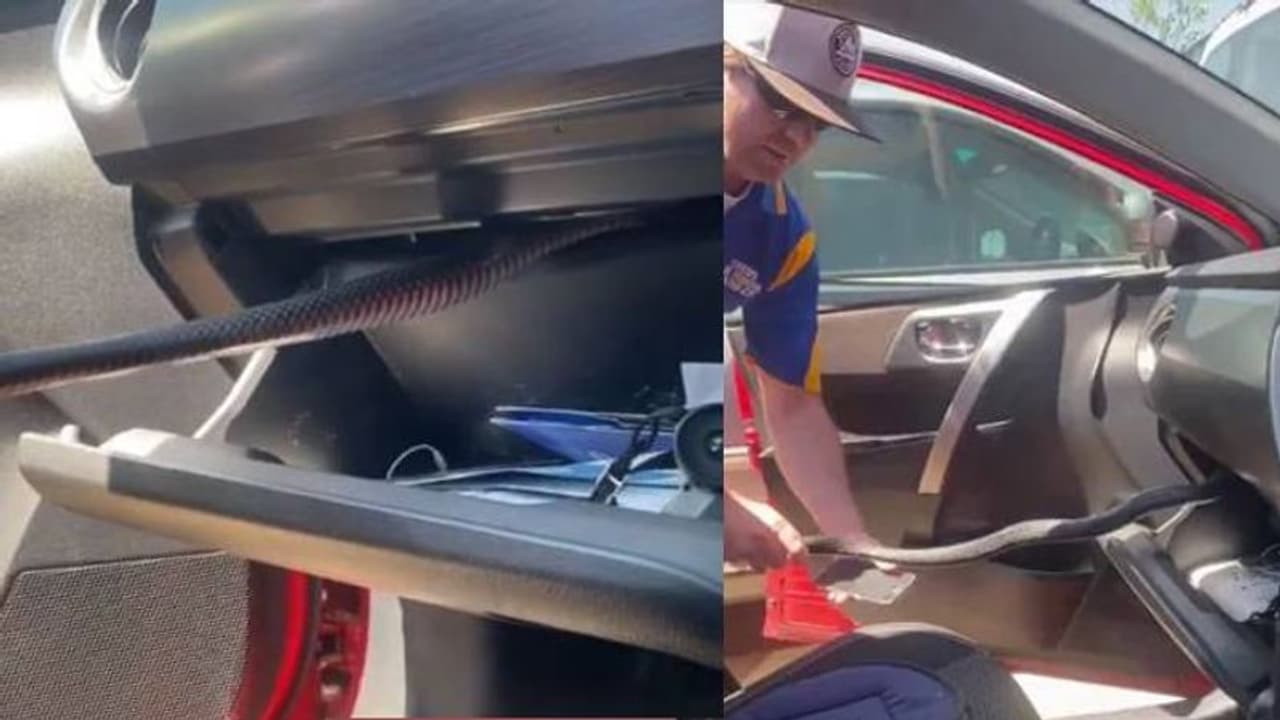 കാറിന്റെ ഗ്ലവ് ബോക്സിൽ നിന്ന് പുറത്തുവന്ന അതിഥിയെ കണ്ട് അമ്പരന്ന് യാത്രക്കാരി; ഭയപ്പെടുത്തുന്ന വീഡിയോ കാറിന്റെ ഗ്ലവ് ബോക്സിൽ നിന്ന് പുറത്തുവന്ന അതിഥിയെ കണ്ട് അമ്പരന്ന് യാത്രക്കാരി; ഭയപ്പെടുത്തുന്ന വീഡിയോ