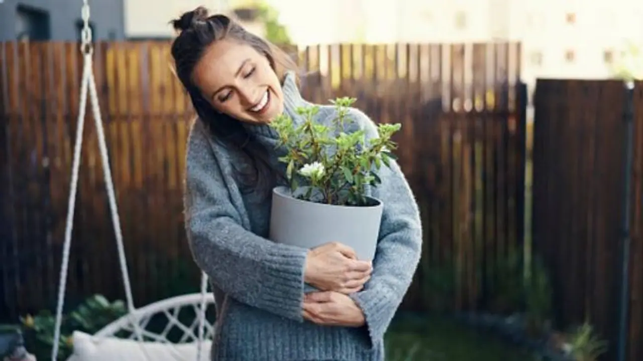 ഇന്ഡോര് പ്ലാന്റ് വാടിപ്പോകാതെ സൂക്ഷിക്കാം; ഇതാ ചില ടിപ്സ് ഇന്ഡോര് പ്ലാന്റ് വാടിപ്പോകാതെ സൂക്ഷിക്കാം; ഇതാ ചില ടിപ്സ്
