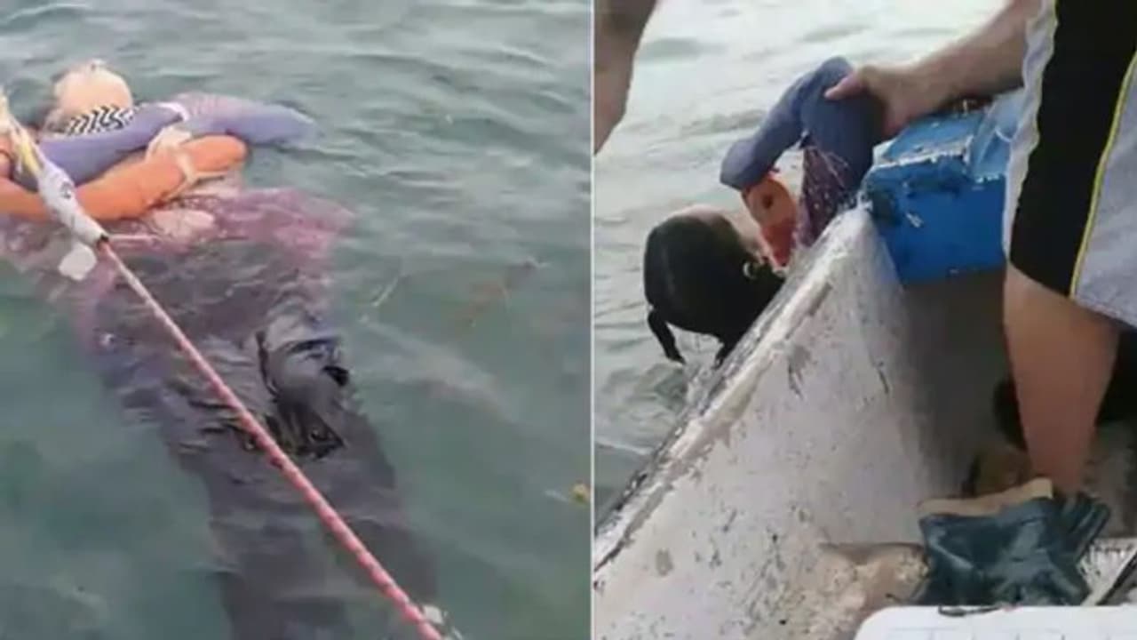 రెండేళ్ల క్రితం అదృశ్యం.. సముద్రంలో ప్రత్యక్షం: వింత కాదు, విషాదగాథ రెండేళ్ల క్రితం అదృశ్యం.. సముద్రంలో ప్రత్యక్షం: వింత కాదు, విషాదగాథ