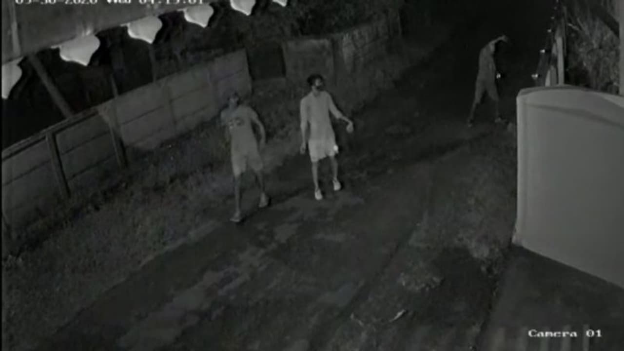 രാമപുരത്ത് വീടുകള്ക്ക് നേരെ മൂന്നംഗ സംഘത്തിന്റെ കല്ലേറ് രാമപുരത്ത് വീടുകള്ക്ക് നേരെ മൂന്നംഗ സംഘത്തിന്റെ കല്ലേറ്