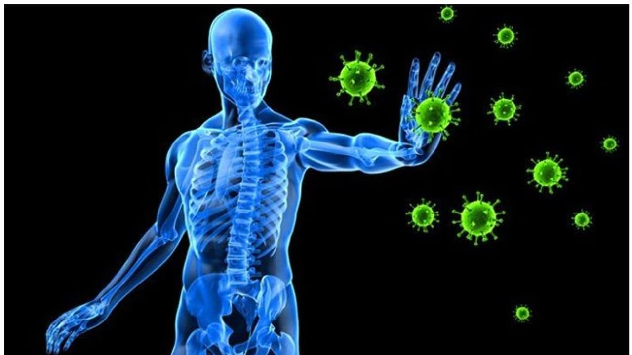 പ്രതിരോധശേഷി കൂട്ടാനും ഹൃദയത്തെ സംരക്ഷിക്കാനും സഹായിക്കുന്ന നാല് ഭക്ഷണങ്ങൾ