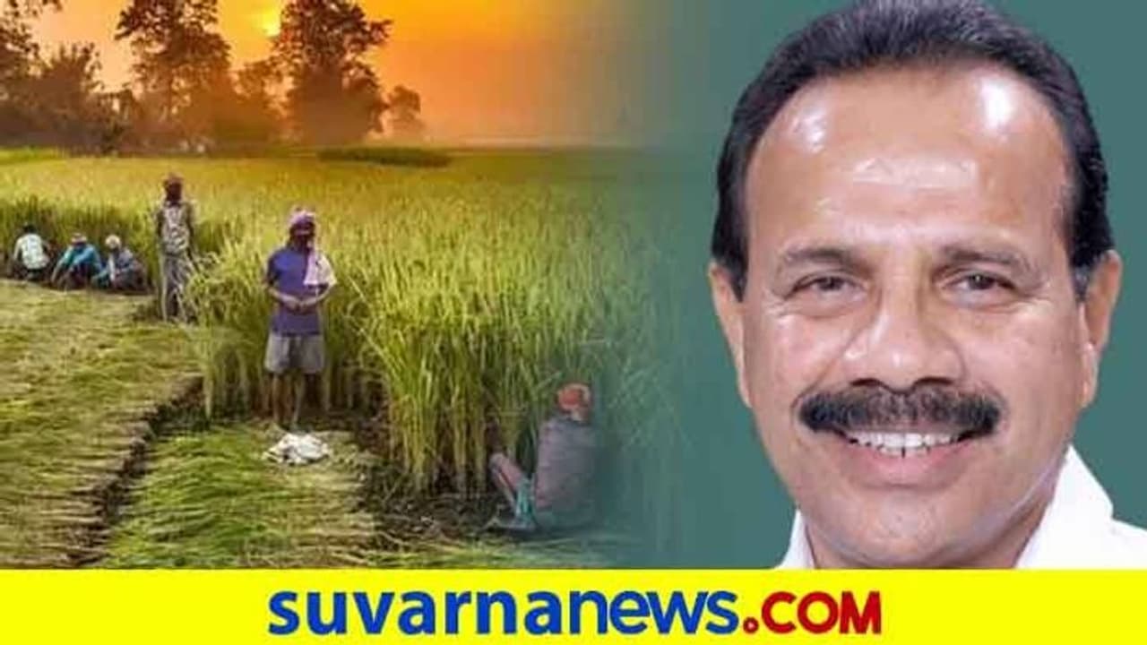 ಕೊರೋನಾ ನಡುವೆ ದಾಖಲೆ ರಸಗೊಬ್ಬರ ಪೂರೈಕೆ: ಸದಾನಂದ ಗೌಡ ಕೊರೋನಾ ನಡುವೆ ದಾಖಲೆ ರಸಗೊಬ್ಬರ ಪೂರೈಕೆ: ಸದಾನಂದ ಗೌಡ