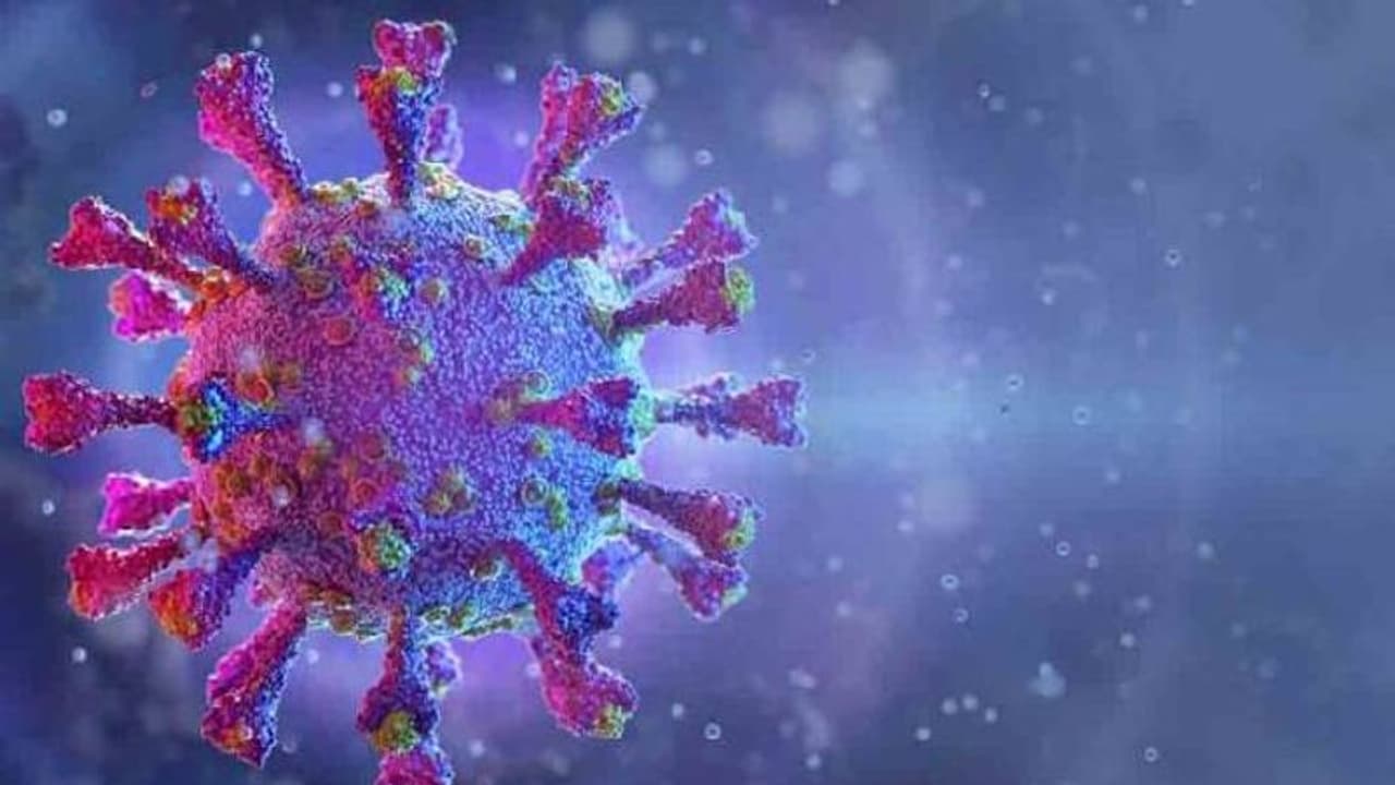 ഈ രണ്ട് ലക്ഷണങ്ങള് ഉണ്ടെങ്കില്, കൊവിഡ് സംശയിക്കാം; പഠനം ഈ രണ്ട് ലക്ഷണങ്ങള് ഉണ്ടെങ്കില്, കൊവിഡ് സംശയിക്കാം; പഠനം