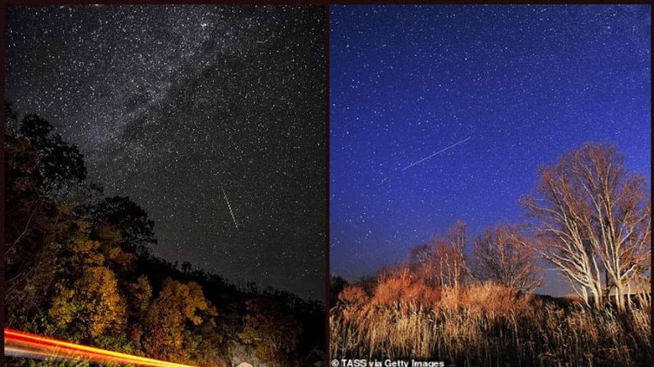 ഒക്ടോബര് 'ഷോ'; അപൂര്വ്വകാഴ്ചകളുടെ വിസ്മയത്തിനായി കാത്തിരിക്കുക! ഒക്ടോബര് 'ഷോ'; അപൂര്വ്വകാഴ്ചകളുടെ വിസ്മയത്തിനായി കാത്തിരിക്കുക!