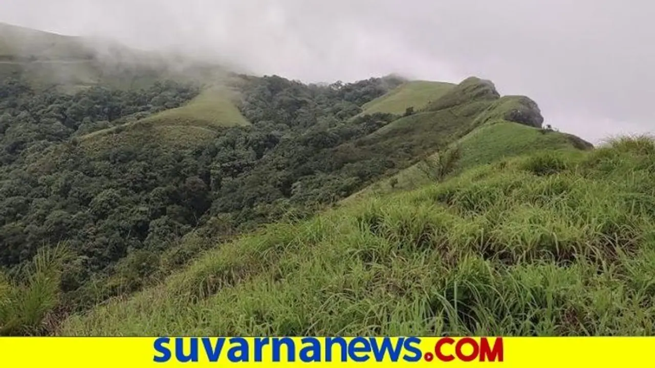 9 ಜಿಲ್ಲೆ ರೈತರಿಗೆ ಬೀಜಗಳ ವಿತರಣೆ : ಅರಣ್ಯ ಅಭಿವೃದ್ಧಿಗೆ ಹೆಚ್ಚು ಒತ್ತು 9 ಜಿಲ್ಲೆ ರೈತರಿಗೆ ಬೀಜಗಳ ವಿತರಣೆ : ಅರಣ್ಯ ಅಭಿವೃದ್ಧಿಗೆ ಹೆಚ್ಚು ಒತ್ತು