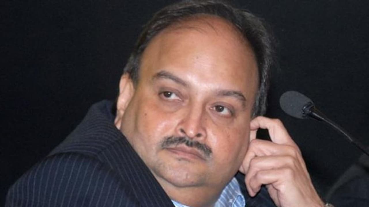 ಬ್ಯಾಂಕ್ ವಂಚನೆ ಆರೋಪಿ ಮೆಹುಲ್ ಚೋಕ್ಸಿಗೆ ಡೋಮಿನಿಕಾ ಹೈಕೋರ್ಟ್ ಮಧ್ಯಂತರ ಜಾಮೀನು! ಬ್ಯಾಂಕ್ ವಂಚನೆ ಆರೋಪಿ ಮೆಹುಲ್ ಚೋಕ್ಸಿಗೆ ಡೋಮಿನಿಕಾ ಹೈಕೋರ್ಟ್ ಮಧ್ಯಂತರ ಜಾಮೀನು!