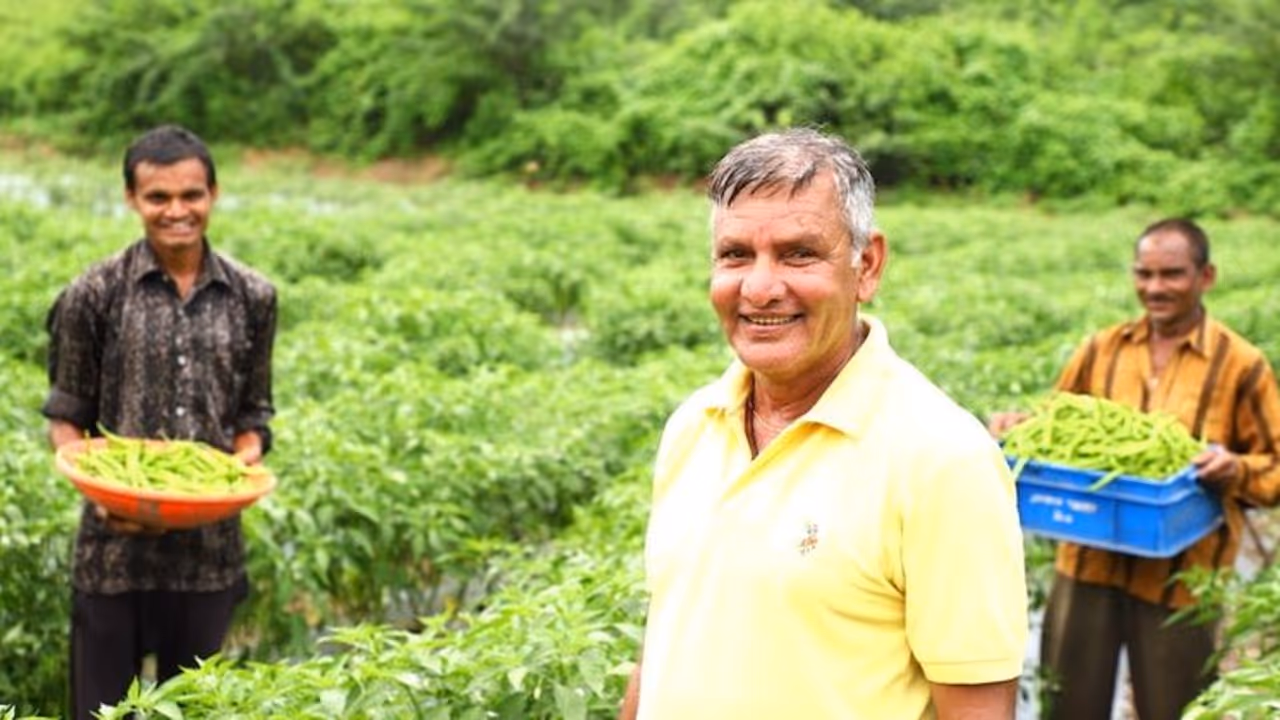 किसान ने तोड़ी सदियों पुरानी परंपरा और मिर्च की खेती कर अन्य किसानों के लिए बने 'प्रेरणा'