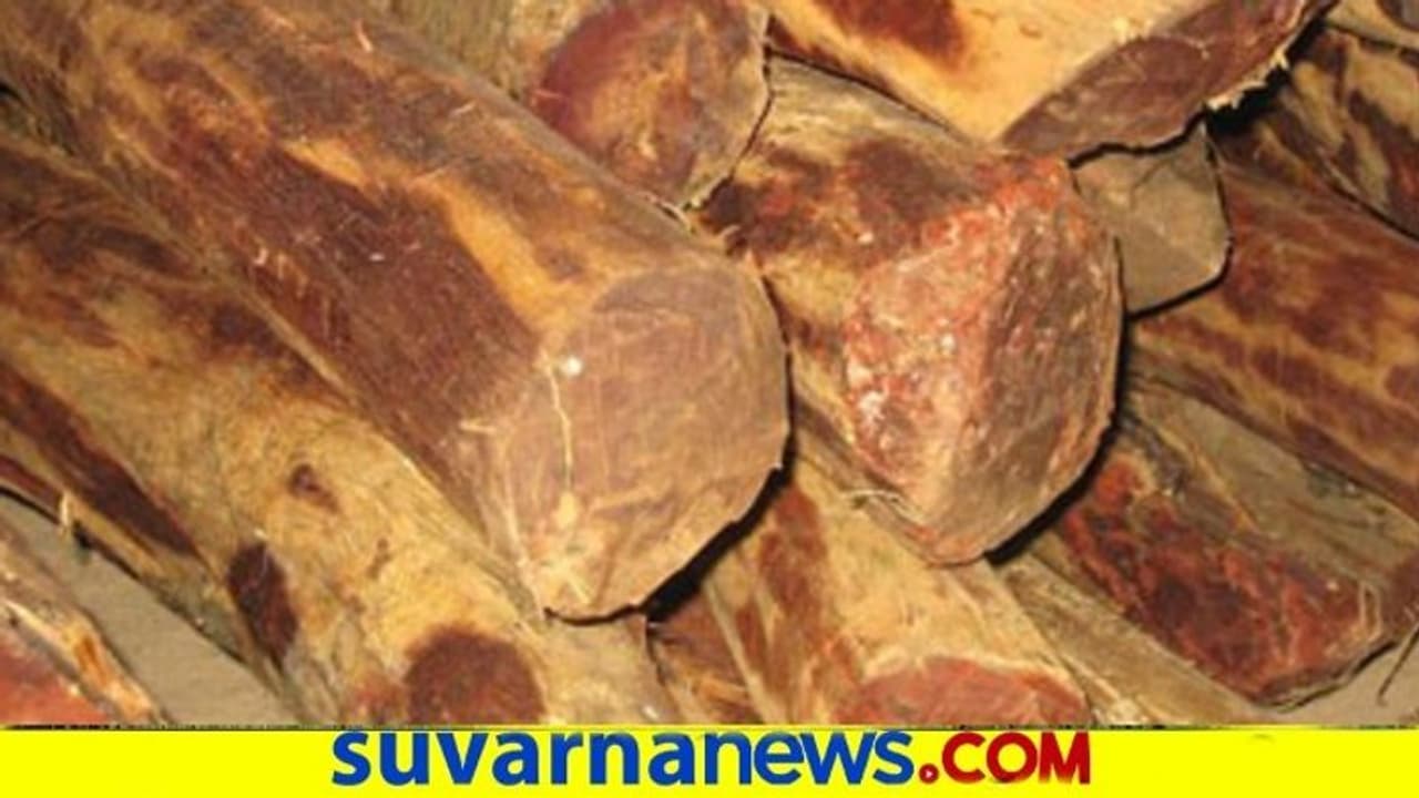 ಶ್ರೀಗಂಧ ಬೆಳೆಯುವವರಿಗೆ ಬಂಪರ್ ಲಾಭ : ಸರ್ಕಾರದಿಂದಲೂ ಸಪೋರ್ಟ್ ಶ್ರೀಗಂಧ ಬೆಳೆಯುವವರಿಗೆ ಬಂಪರ್ ಲಾಭ : ಸರ್ಕಾರದಿಂದಲೂ ಸಪೋರ್ಟ್