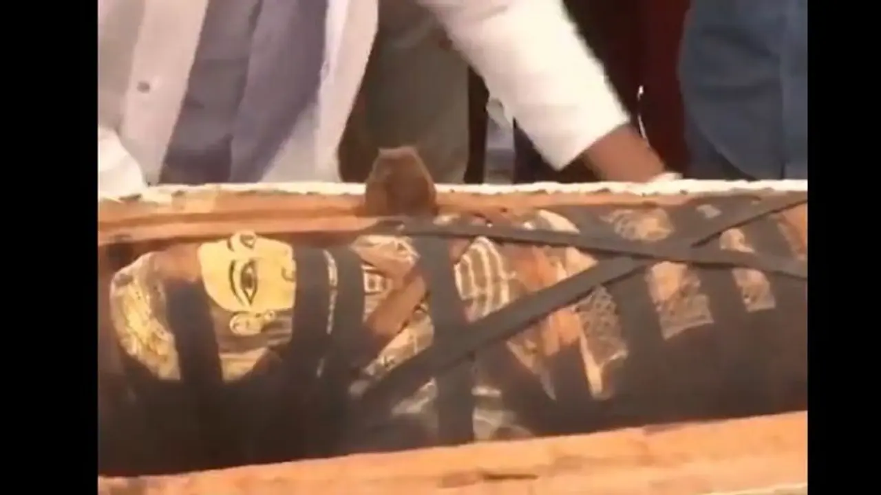 ইজিপ্টে আড়াই হাজার বছরের পুরনো মমি উদ্ধার, সেই ভাইরাল ভিডিওতে চোখ রাখুন আপনিও ইজিপ্টে আড়াই হাজার বছরের পুরনো মমি উদ্ধার, সেই ভাইরাল ভিডিওতে চোখ রাখুন আপনিও