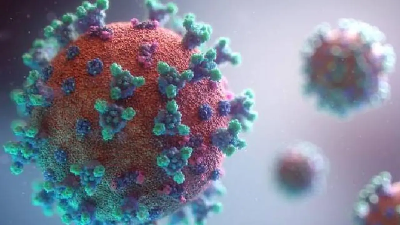 കൊറോണ വൈറസിന് മനുഷ്യചര്മ്മത്തില് 9 മണിക്കൂറോളം നിലനില്ക്കാനുള്ള കഴിവുണ്ടെന്ന് പഠനം കൊറോണ വൈറസിന് മനുഷ്യചര്മ്മത്തില് 9 മണിക്കൂറോളം നിലനില്ക്കാനുള്ള കഴിവുണ്ടെന്ന് പഠനം