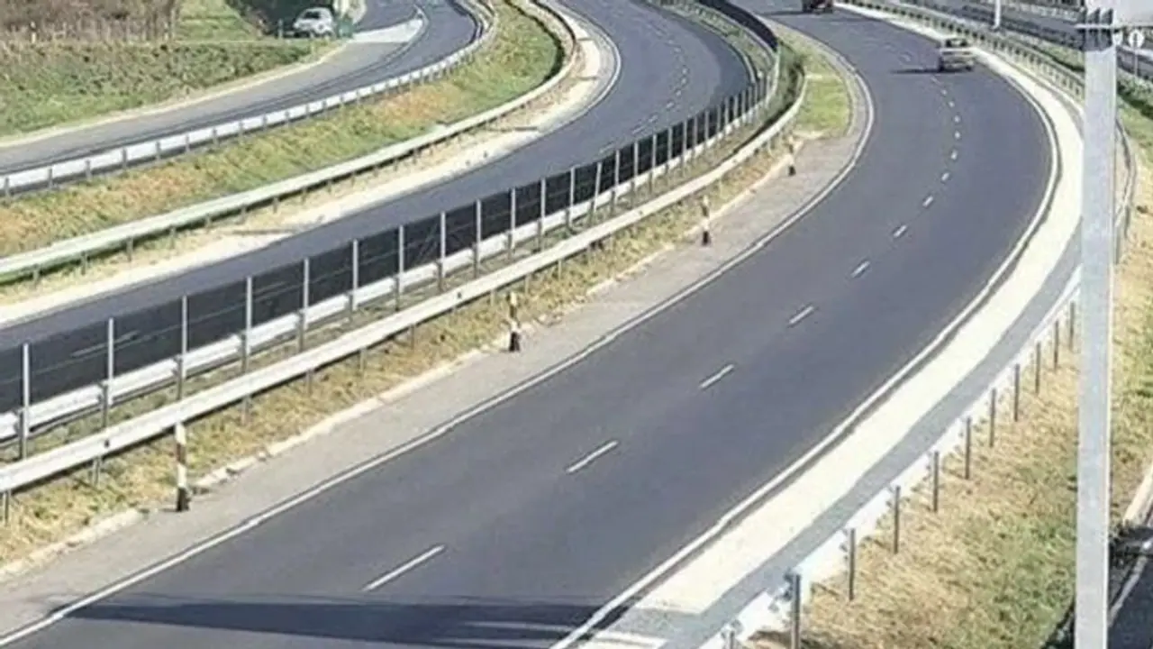 Animal bridges across Delhi Mumbai Expressway to ensure smooth movement of wildlife