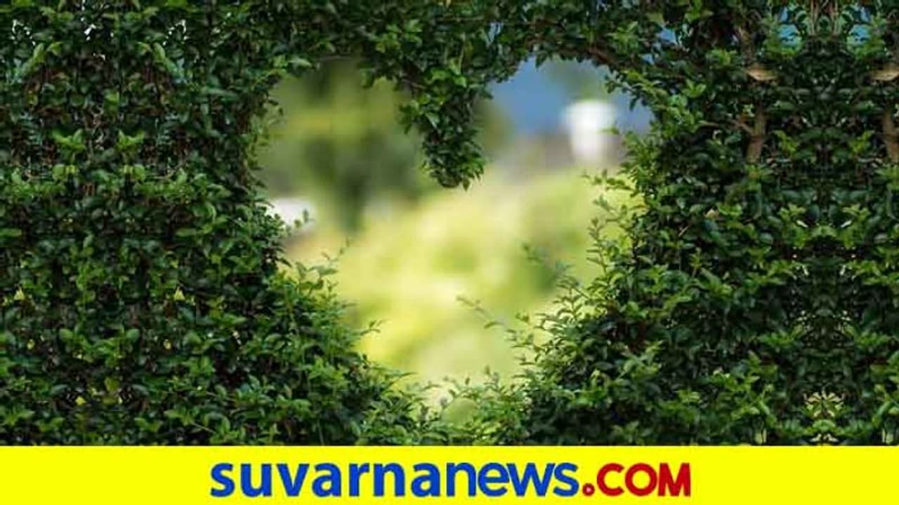 ಪ್ರೀತಿಗಾಗಿ ಕೊಲೆಗೆ ಯತ್ನ: ಒಂದೂವರೆ ವರ್ಷ ಕೋಮಾದಲ್ಲಿದ್ದವಗೆ 2 ಲಕ್ಷ ಪರಿಹಾರ ಪ್ರೀತಿಗಾಗಿ ಕೊಲೆಗೆ ಯತ್ನ: ಒಂದೂವರೆ ವರ್ಷ ಕೋಮಾದಲ್ಲಿದ್ದವಗೆ 2 ಲಕ್ಷ ಪರಿಹಾರ