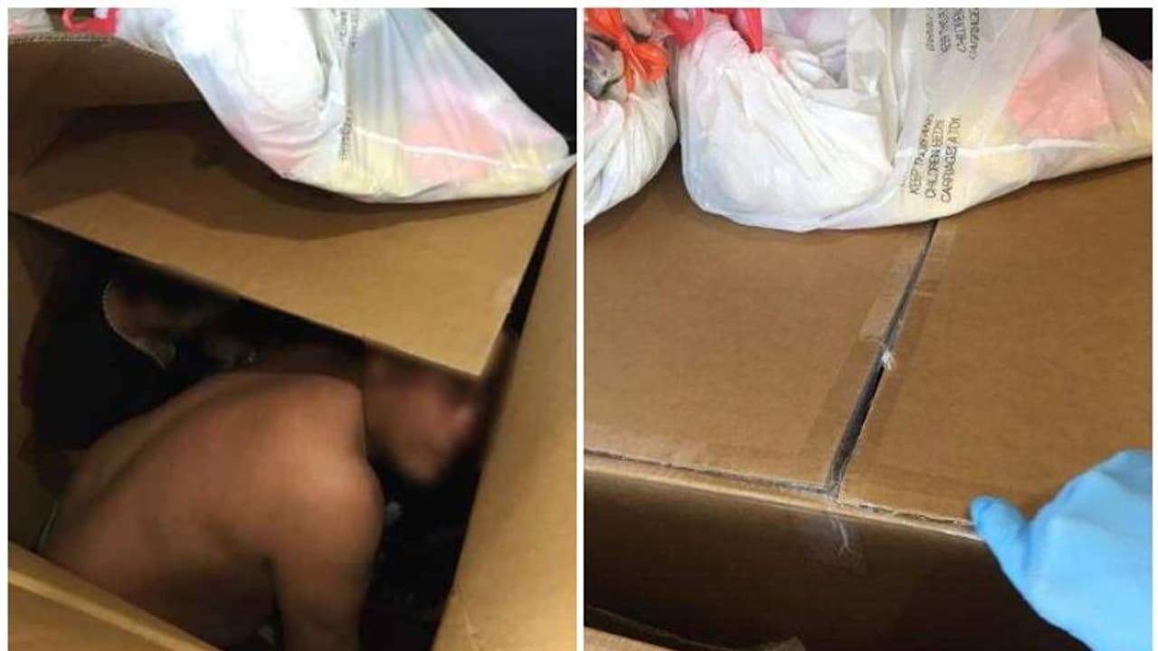 കാര്ഡ് ബോര്ഡ് പെട്ടികളില് അതിര്ത്തി കടക്കാന് ശ്രമം നടത്തി 13 പേരെ പൊലീസ് നായ കുടുക്കി കാര്ഡ് ബോര്ഡ് പെട്ടികളില് അതിര്ത്തി കടക്കാന് ശ്രമം നടത്തി 13 പേരെ പൊലീസ് നായ കുടുക്കി