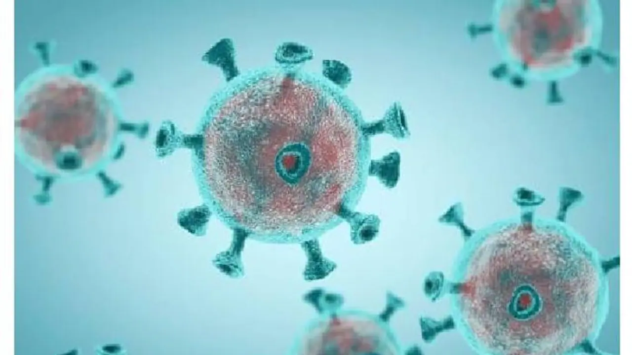 రెండోసారి కరోనా చాలా ప్రమాదమే..! రెండోసారి కరోనా చాలా ప్రమాదమే..!