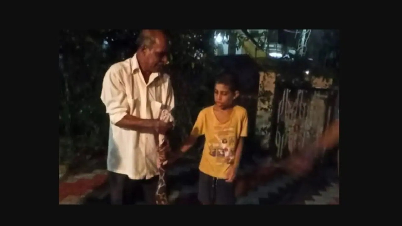 Karnataka: Brave ten year old saves himself from a python Karnataka: Brave ten year old saves himself from a python