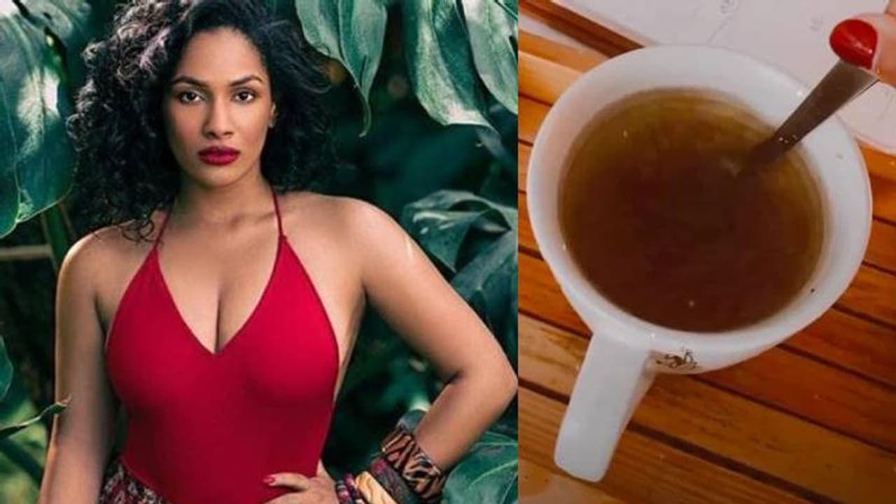 പ്രതിരോധശേഷി വർധിപ്പിക്കാൻ ഈ പാനീയം കുടിക്കാം; ചിത്രം പങ്കുവച്ച് മസാബ ഗുപ്ത പ്രതിരോധശേഷി വർധിപ്പിക്കാൻ ഈ പാനീയം കുടിക്കാം; ചിത്രം പങ്കുവച്ച് മസാബ ഗുപ്ത