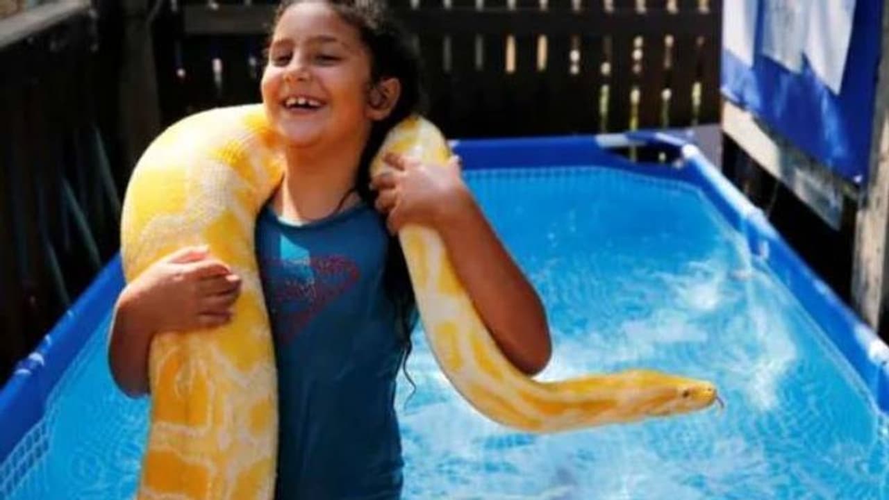 എട്ടുവയസ്സുകാരി സ്വിമ്മിങ് പൂളിൽ നീന്തിക്കളിക്കുന്നത് 11 അടി നീളമുള്ള പെരുമ്പാമ്പുമൊത്ത്! എട്ടുവയസ്സുകാരി സ്വിമ്മിങ് പൂളിൽ നീന്തിക്കളിക്കുന്നത് 11 അടി നീളമുള്ള പെരുമ്പാമ്പുമൊത്ത്!