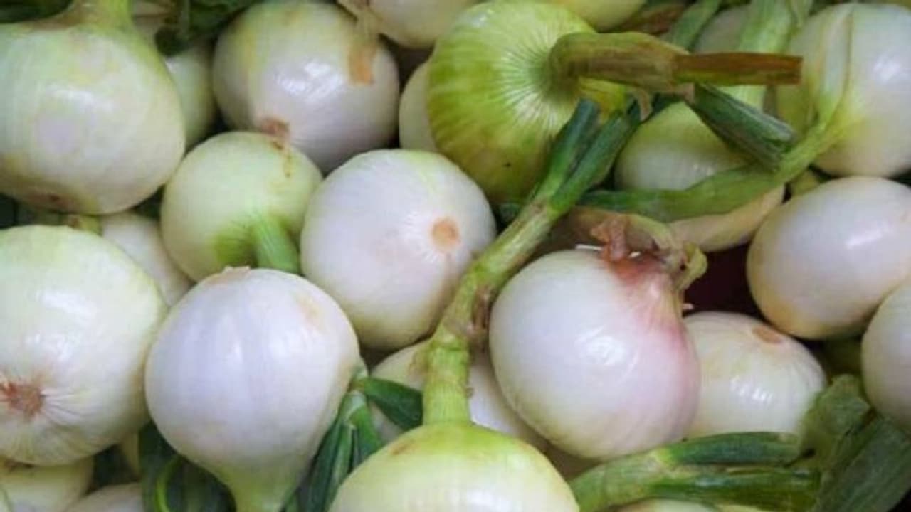 ഉള്ളിയിൽ വരെ 'അമിത സെക്സ്'; ചിത്രം നീക്കം ചെയ്തു; ചര്ച്ച ഉള്ളിയിൽ വരെ 'അമിത സെക്സ്'; ചിത്രം നീക്കം ചെയ്തു; ചര്ച്ച