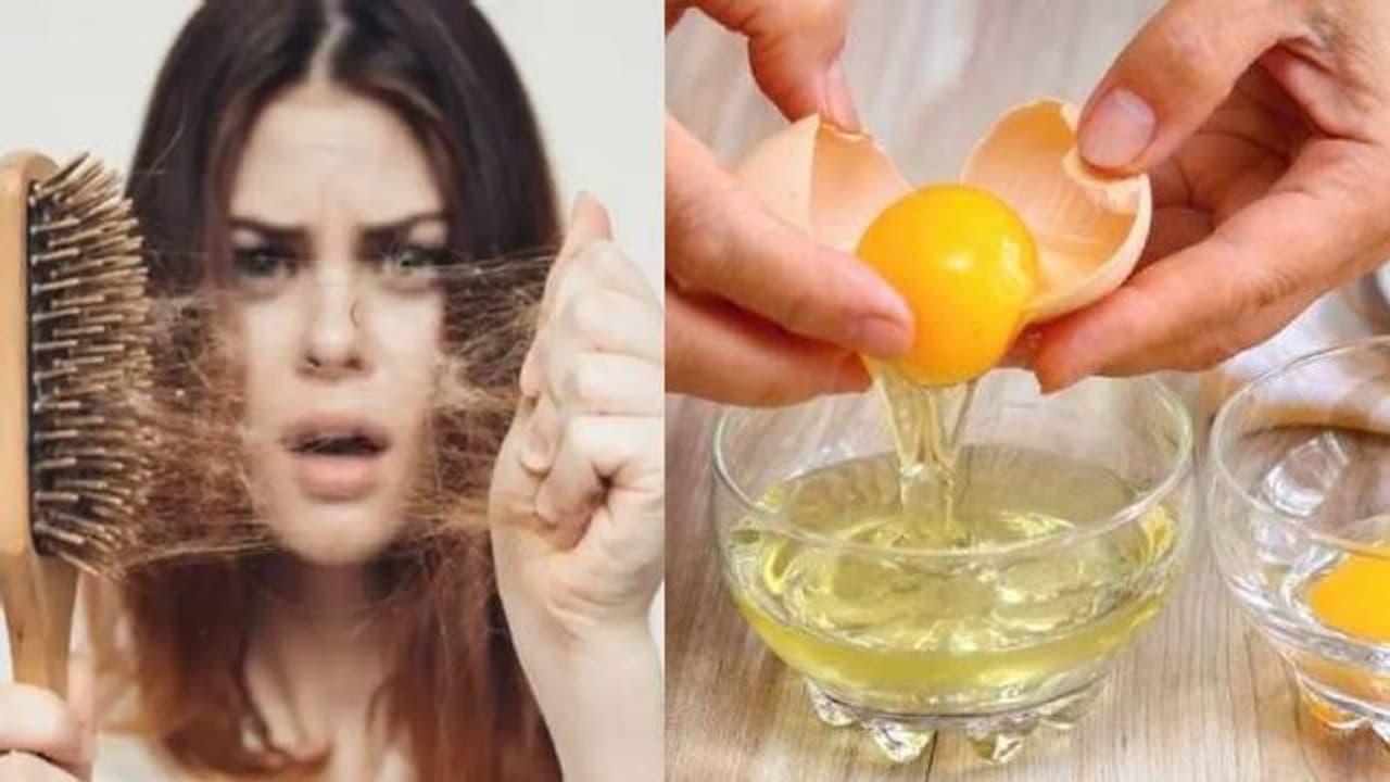 തലമുടി കൊഴിച്ചില്‍ അകറ്റാനും തഴച്ചുവളരാനും മുട്ട കൊണ്ടൊരു കിടിലന്‍ ഹെയർ മാസ്ക്