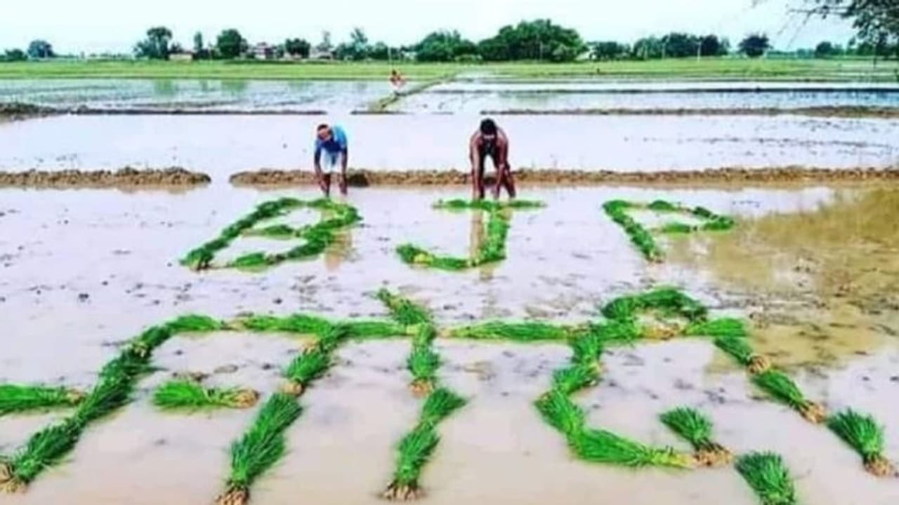 ফ্যাক্ট চেকে দিলীপ ঘোষের শেয়ার করা ছবি, সেটি মিথ্যা বলে দাবি তৃণমূলের