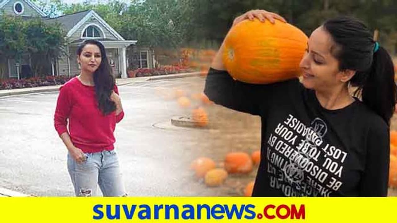 ಕೋವಿಡ್‌ ಟೈಮ್‌ನಲ್ಲಿ ಮೇಘನಾ ಗಾಂವ್ಕರ್‌ ಅಮೆರಿಕಾದಲ್ಲಿ!