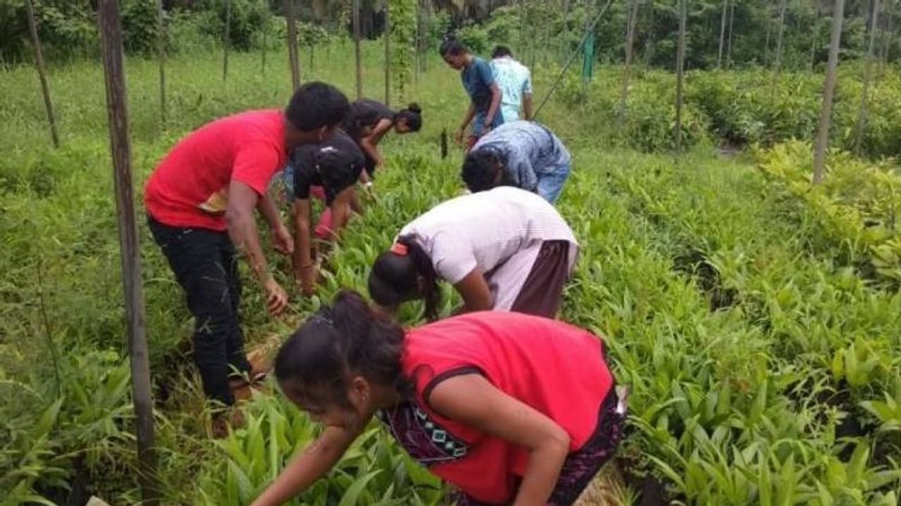 കൃഷിയെ സ്നേഹിക്കുന്നവര്ക്ക്, കൃഷി ചെയ്യാനാഗ്രഹിക്കുന്നവര്ക്ക്; അതിനായി ഒരു കോളേജ് കൃഷിയെ സ്നേഹിക്കുന്നവര്ക്ക്, കൃഷി ചെയ്യാനാഗ്രഹിക്കുന്നവര്ക്ക്; അതിനായി ഒരു കോളേജ്