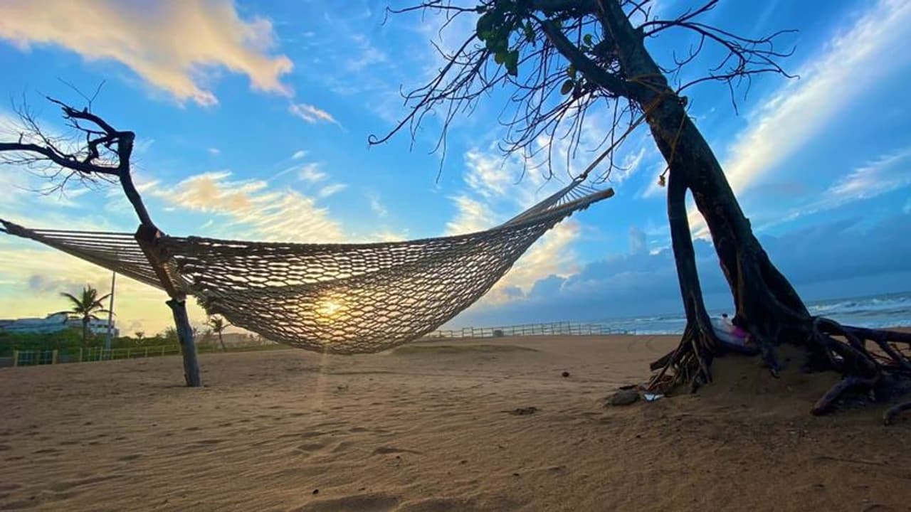 இந்தியாவின் 8 தூய்மையான கடற்கரைகளுக்கு நீலக்கொடி சான்றிதழ்..! மத்திய அமைச்சர் பிரகாஷ் ஜவடேகர் பெருமிதம் இந்தியாவின் 8 தூய்மையான கடற்கரைகளுக்கு நீலக்கொடி சான்றிதழ்..! மத்திய அமைச்சர் பிரகாஷ் ஜவடேகர் பெருமிதம்