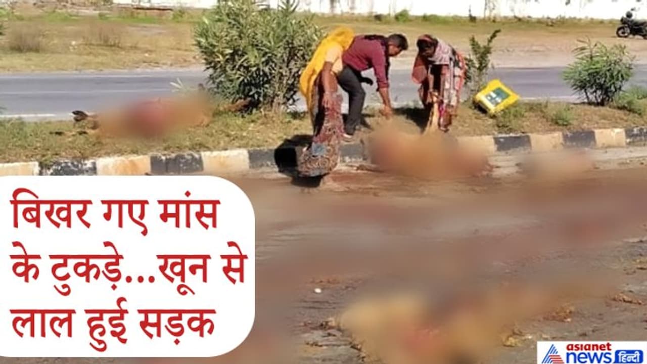 राजस्थान में ट्रोले ने 100 से ज्यादा भेड़ों को यूं सुलाया मौत की नींद..हाइवे पर उड़ गए शवों के चिथड़े राजस्थान में ट्रोले ने 100 से ज्यादा भेड़ों को यूं सुलाया मौत की नींद..हाइवे पर उड़ गए शवों के चिथड़े